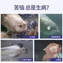 鱼缸ph值测试笔便携式水质酸碱度检测器仪计测水仪器水产养泰之然