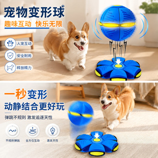 ���������ĥ����ҧ߅����ë�»�����Ӗ������ȮС�����˽␞����