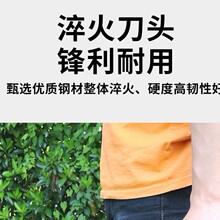 С����砵��ݵ��i��F���r�ø�ݵ��@���L�����ݵ����⿳��