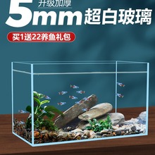 超白鱼缸客厅小型桌面生态溪流造景真水草玻璃懒人养鱼金鱼乌龟缸