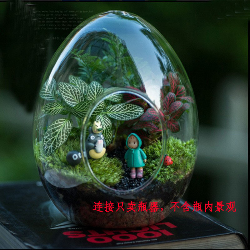 Creative Micro-Landscape Egg-Shaped Glass Vase Transparent Succulent Plant Moss Bottle DIY Landscaping Bottle Small Potted Plant Ornament