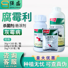 禾益 迪芬康腐霉利 20%腐霉利 葡萄灰霉病杀菌剂悬浮剂农药批发