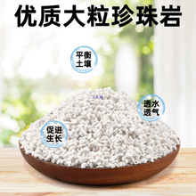 �B���������w������͸�������ʯ�@ˇ�Nֲ�����m���I�B��