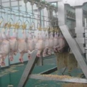 家禽屠宰流水线 脱毛机宰鸡宰鸭宰鹅设备配件尼龙滑架