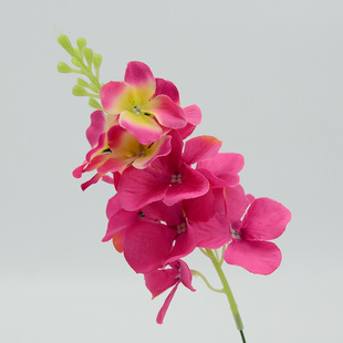 ���滨diy���ϰ����л����仨�L���ӻ�����Y�È������û����廨