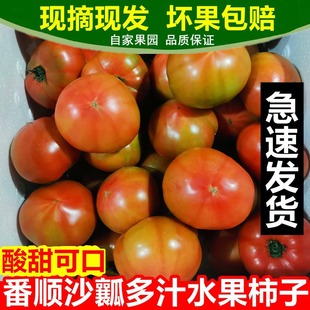 ���|�FƤ��ݮ����10���߲����t�����r�|�ؼt��������ˮ�����Ѵ��l