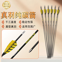 ��̼�����¹�˗l�y������β��������������C���������羳���u