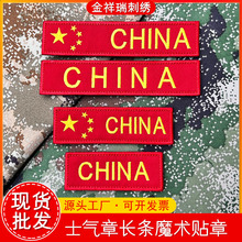 �F؛����CHINA�L�lħ�g�N���g���ұ���ʿ���N�´̽����N�ػ���