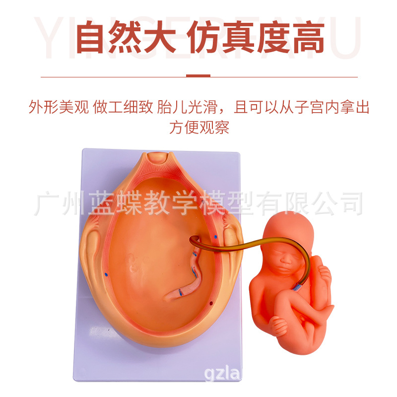 ������̥����ģ�� �ƻ�����ģ�� 9����̥����������ģ��10����