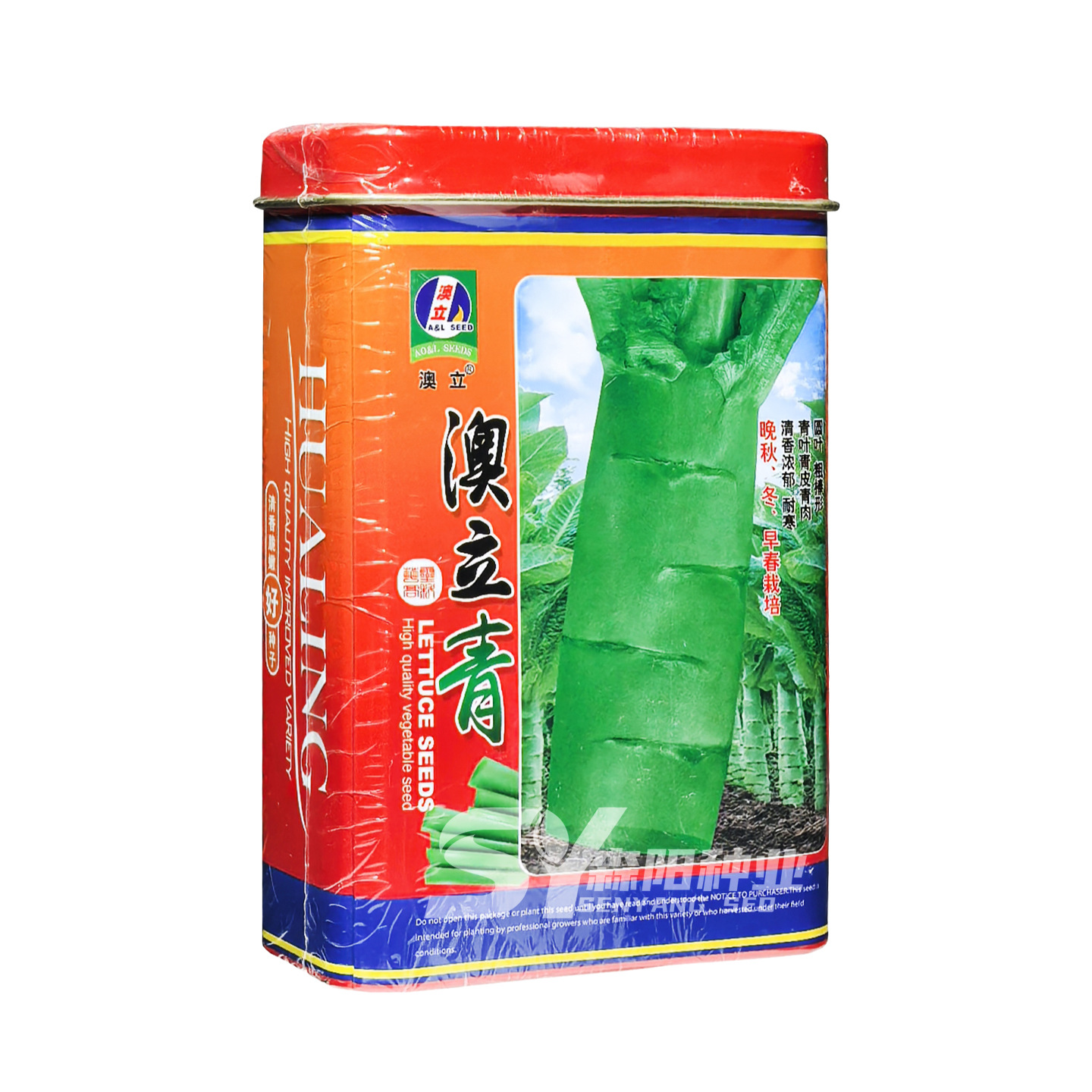 莴笋种子