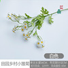 Country realistic chamomile, decorations suitable for photo sessions, props, bouquet