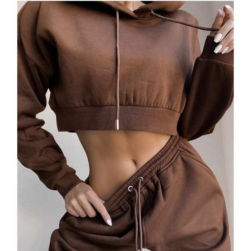 Bestselling 2022 Amazon AliExpress Wish Plus Size European and American Fleece Cross-border Women's Sports Casual Set