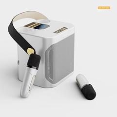 Double K-singer speaker, a must-have artifact for family gatherings and outdoor dining, portable source factory direct delivery S882