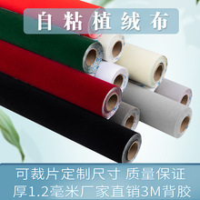 3M���z��ճ�q���錚չ���Y�а��b���汳���Ӻ�ֲ�q�����b���