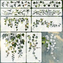亚马逊花草花卉镂空绘画模板 手绘墙绘拓印漏印板diy绘图辅助模具