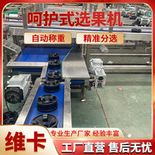 ���ϲ�ݮ�o�p�Q�ط��x�C ��p�������� ������ʹ��������ּ��C