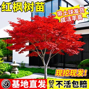 �����ձ��t�������ļ��t�輧�辰�Ϙ�����ͥԺ�e���ͺ��G��������