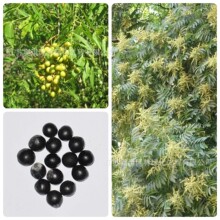 ���lҰ���o���ӷN���ͻ��ӷ����ӟo���������ȥƤ�����S����N��