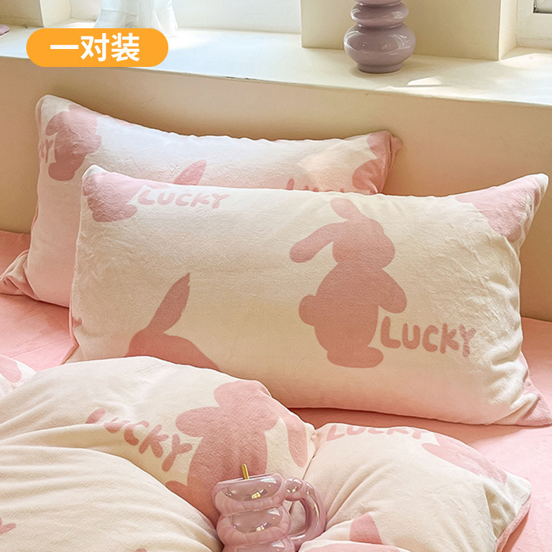 Funda de almohada de terciopelo de leche de invierno, un par de fundas de almohada de terciopelo de coral grueso, una sola funda de revestimiento de núcleo de almohada para niños 48x74 2