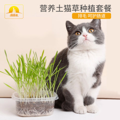 Hydroponic cat grass wholesale Pipitao hair balling cream catnip snack seeds potted nutritious soil cat grass