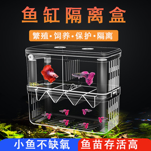 Peacock fish tank isolated reproduction box outside the tank acrylic anchovy tropical fish juvenile small fry incubator spawning room