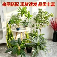 �߶˱��W�Gֲ��������m���ö���Gֲ�������Ԅ��⺆�s�Gֲ�[��