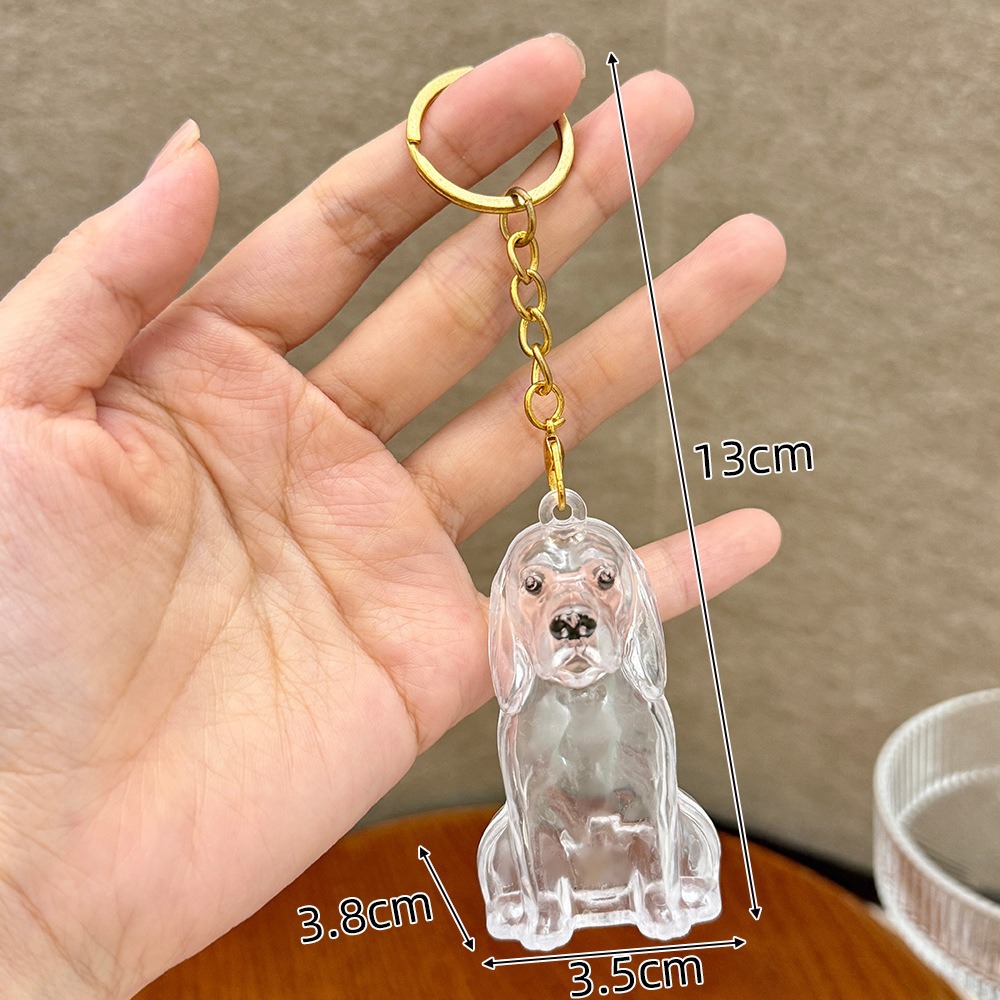 Cartoon Pet Storage Keychain Lovely Transparent Pet Memoria Keychain Pet Listing Keychain