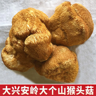 �|���خa���^�����������d���X��؛��Ұ�����^������500�˿ɴ��