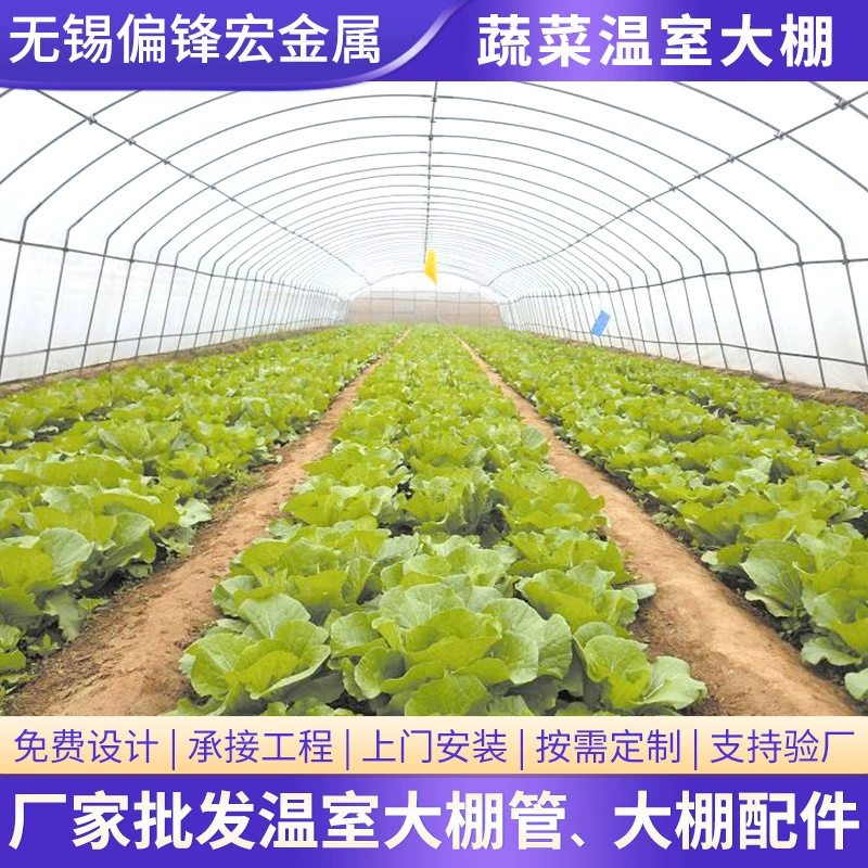 Производитель теплиц для овощей: простая одинарная сельскохозяйственная теплица, каркасная теплица, трубчатая теплица, наземная теплица для овощей