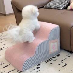 狗狗楼梯宠物爬梯小型犬老年犬上下床台阶猫咪床边沙发可拆洗