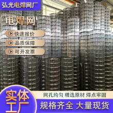 镀锌电焊网卷小孔防蛇鼠装玉米铁丝网围栏阳台防护养殖护栏网厂家