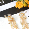 Long fashionable accessory, earrings with tassels, European style, wish