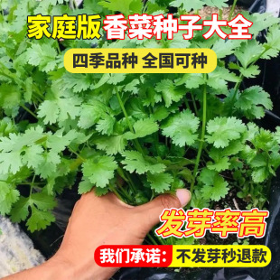 �ļ�����ѷN���ﶬ�r��С�~ܾݴ�N���߲˷N�����ȫ�̨�Nֲ����