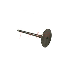 Engine Intake Valve Is Suitable for Mercedes-Benz M272 A209 C209 2.5L 3.0L 2720530801