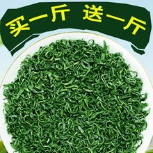 买一斤再送一斤日照充足2024新茶茶叶高山云雾炒青茶耐泡250g