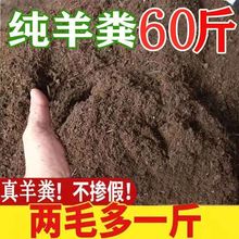 120�＃��S10����u�S�����ϷN��30��������Լ�ͨ�ô��