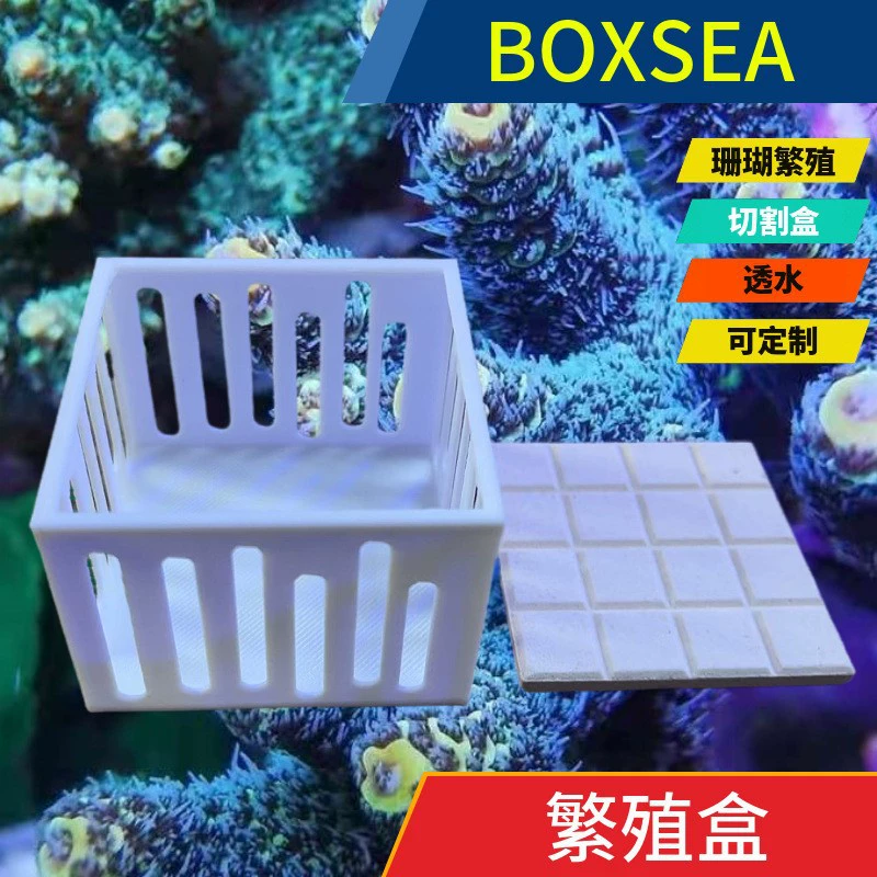 Коробка для распространения кораллов BOXSEA, фиксированный внутренний диаметр кораллового распространения 51x51 мм, можно использовать с режущим основанием