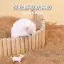 天然无尖锐挖掘仓鼠果壳