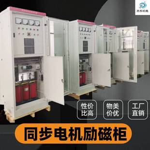 Synchronous excitation Cabinet_high voltage soft start_high voltage motor excitation device_high voltage frequency conversion control cabinet