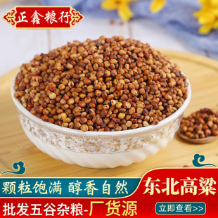 �t�������l��؛��Ƥ�|���t����ᄾ�ԭ��������ϖ|���������b