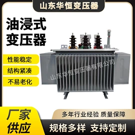 油浸式变压器;干式变压器
