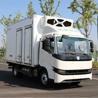 定制款冷藏车 4.2米纯电（新能源）免购车税 上绿牌 绿通保温车