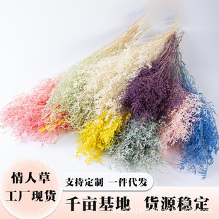Eternal Lover's Grass Dried Flowers in Stock Wholesale White Lover's Grass Flower Arrangement Accessories Eternal Flower Valentine's Day Gift Bouquet