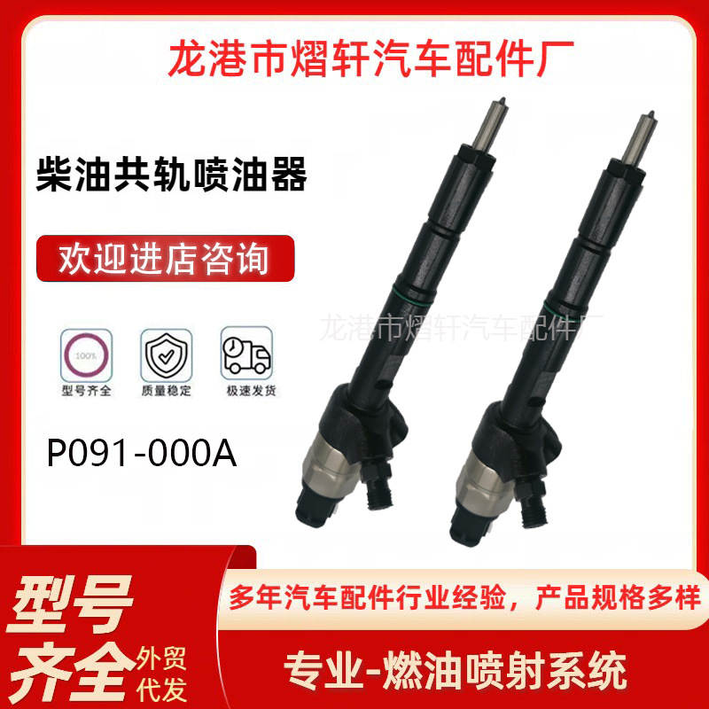 P091-000A共轨喷油器HA10000307喷油嘴适用于云内YN38CR-110004柴