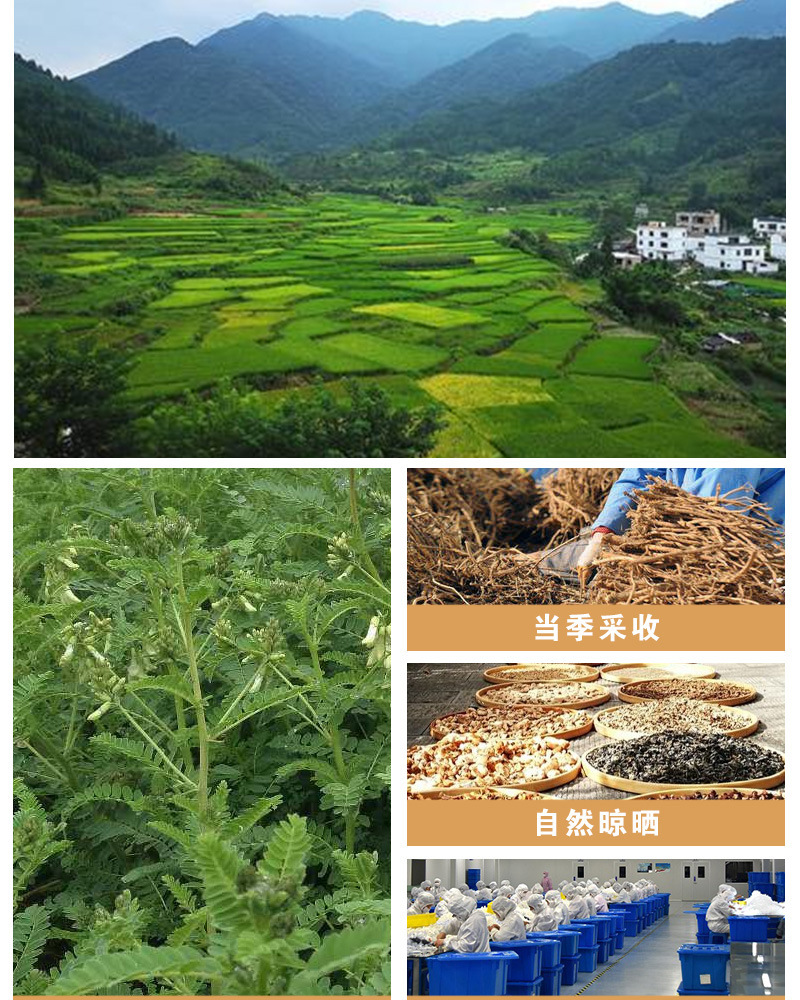 Astragalus Root Slices Huang Qi 500g Dried Bulk Herb for Decoction and Tea quality and texture
