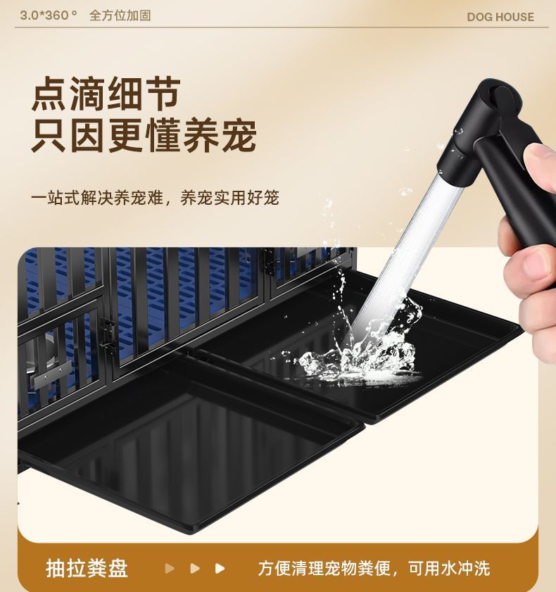8b14a747-c5a2-43fb-8d02-5f736570966d.jpe