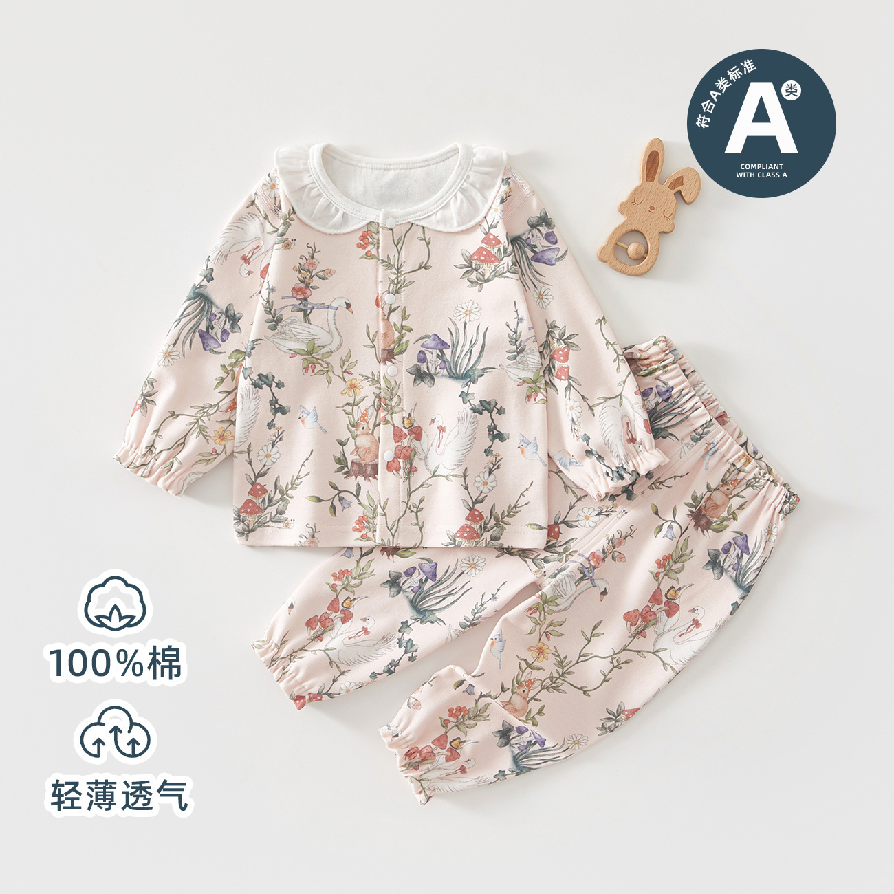 슈트-아름다운 백조