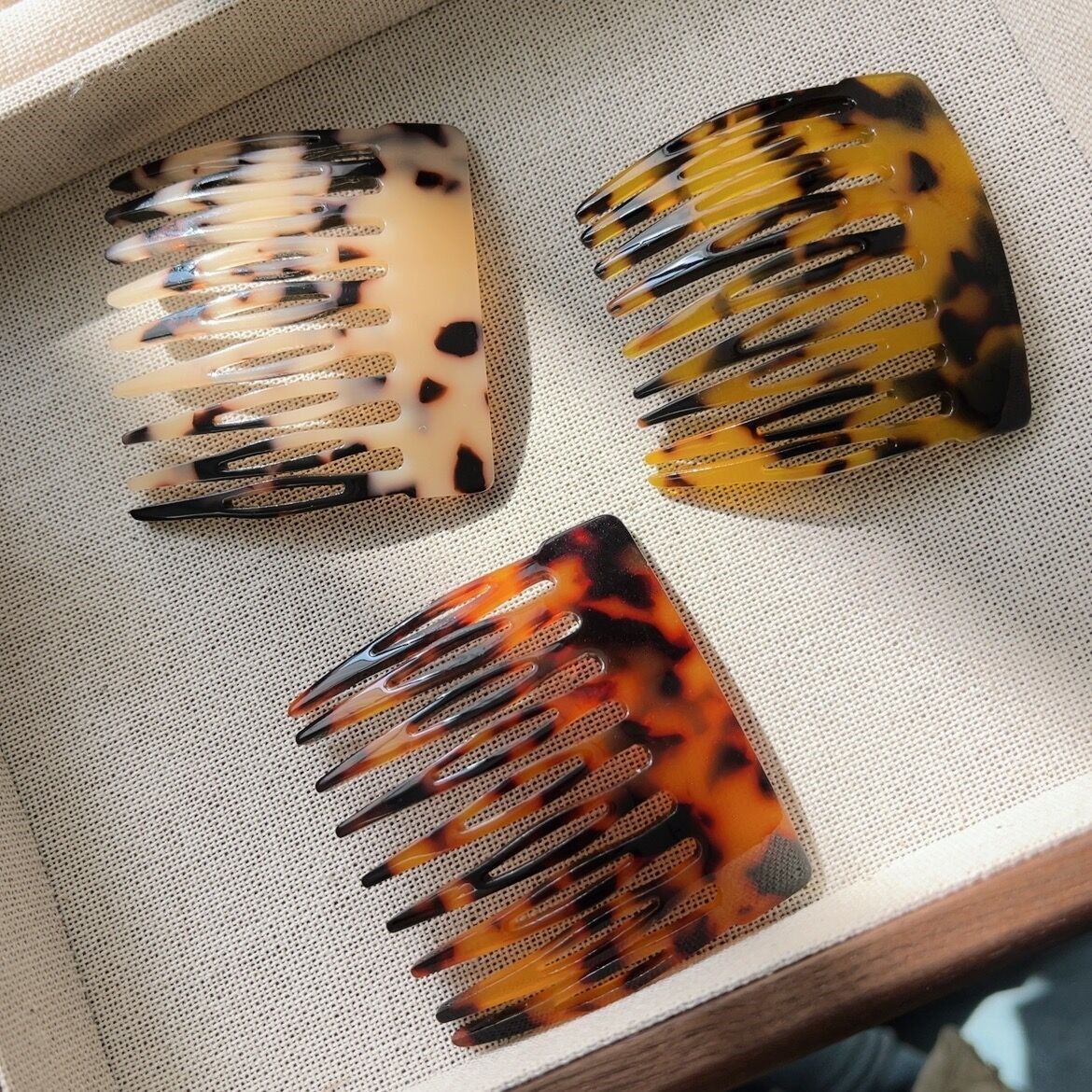 QQ图片20241228235811