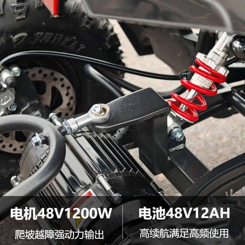 Small Overlord ATV Beach Motorcycle All-Terrain Vehicle Electric Scooter