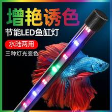 鱼缸灯led防水三色变色全光谱增艳灯小型水族箱照明灯赏鱼灯吸盘